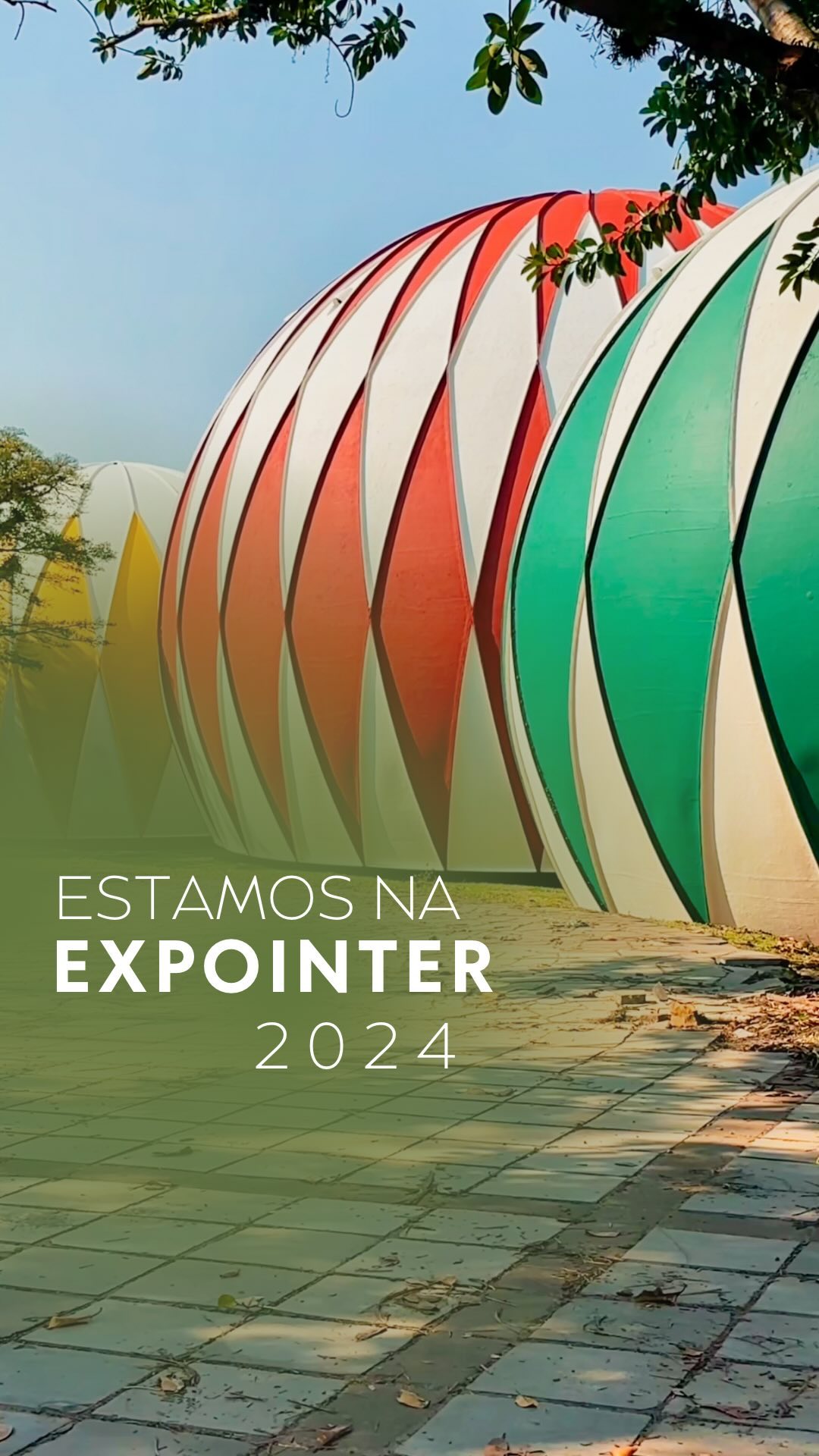 Projeto Container
